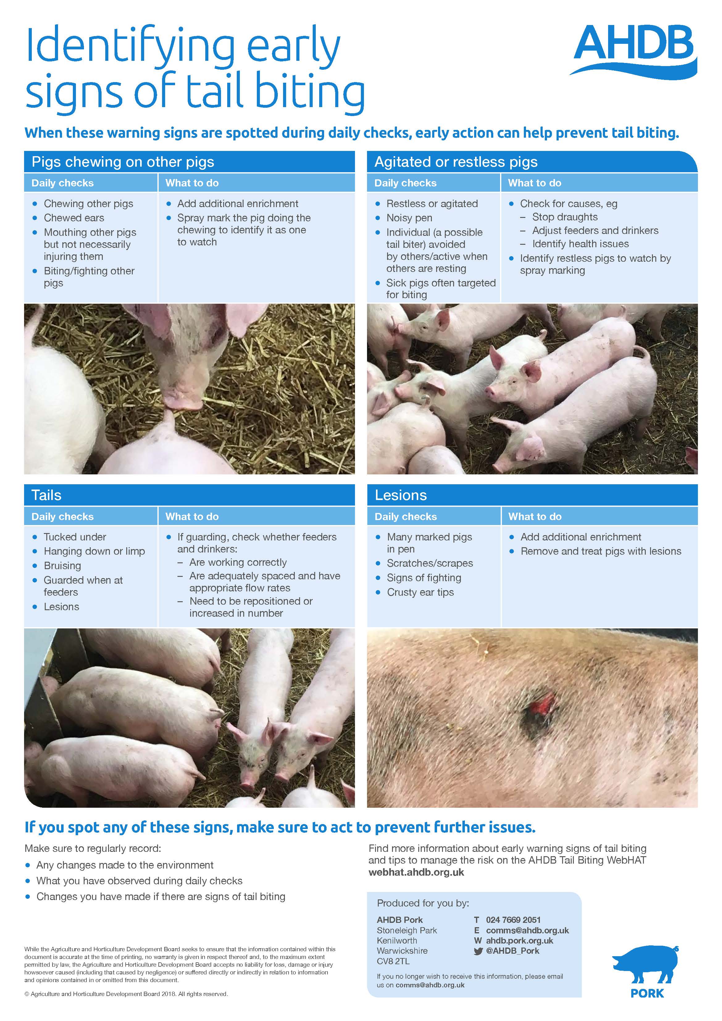 Poster showing how to identify the early signs of tail biting 